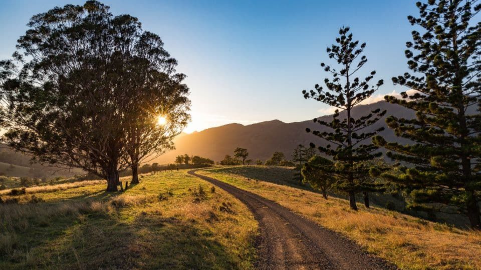 The Local's Guide to the Samford Valley Drive & Scenic Hinterland Loop