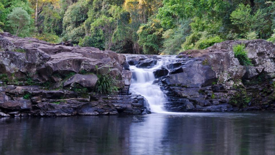 The Perfect Maleny & Gardners Falls Day Trip: Local Tips from the RaD Team