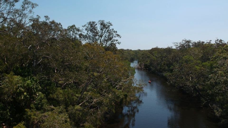 Rainforest to Reef: A 4-Day Sunshine Coast Self-Drive Itinerary